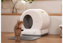 how-to-maintain-your-automatic-litter-box-effortlessly