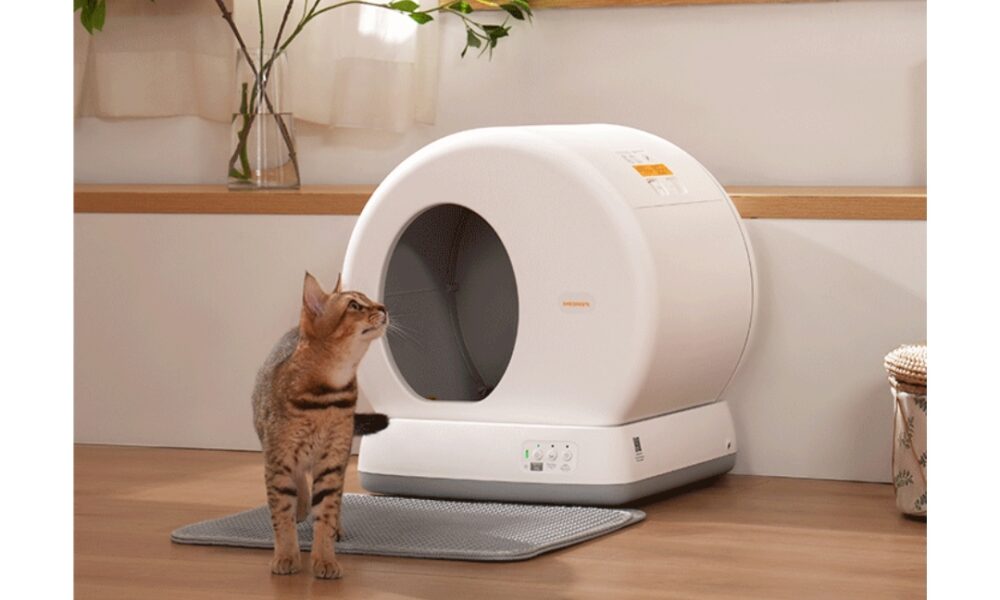 how-to-maintain-your-automatic-litter-box-effortlessly