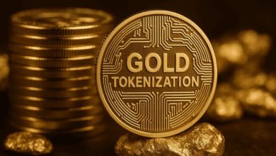 gold-tokenization:-a-guide-to-building-your-own-tokenized-gold-platform
