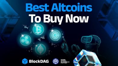 best-crypto-for-2025-bull-run:-blockdag,-arbitrum,-hedera-&-stellar-could-boom
