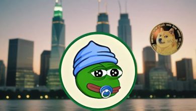 wall-street-focus-on-dogecoin-sparks-interest-in-high-upside-meme-coins:-5-coins-to-watch